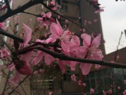-重庆医科大学附属儿童医院(渝中院区)