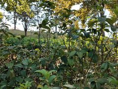 -中国移动南方基地