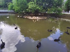 -黔灵山公园
