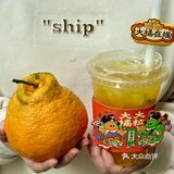 新年一定要大橘大粒呀！