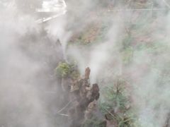 -玫瑰庄园·自助烧烤·烤全羊·团建拓展(龙泉山店)