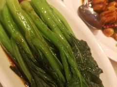 -金鼎轩(方庄天坛店)