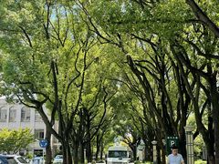 -中共上海市委党校 上海行政学院