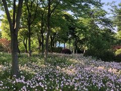 -尚贤河湿地