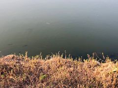 -广东花都湖国家湿地公园