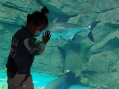 -泉城欧乐堡海洋极地世界