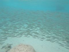 -邦邦岛