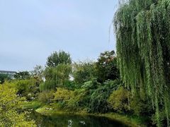 -成都杜甫草堂博物馆