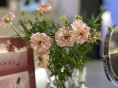 -豆豆花艺(新光天地店)
