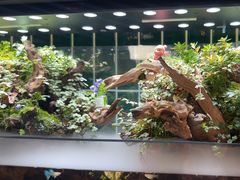 -堂屋糖水店(愚园店)