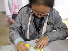 -上海昆虫博物馆