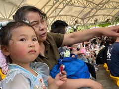 -海合安成都极地海洋公园