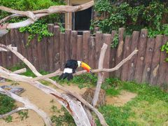 -上海野生动物园