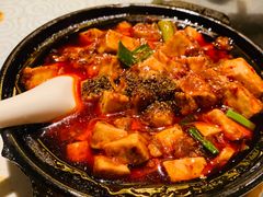 -陈麻婆豆腐总店