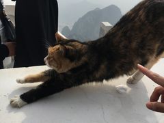 -狼牙山风景区