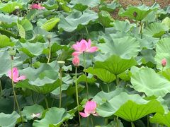 -3W咖啡(国家软件园店)