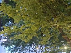 -浦江二号·独栋江景餐厅(滨江大道店)