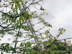 -龙凤山庄影视度假村