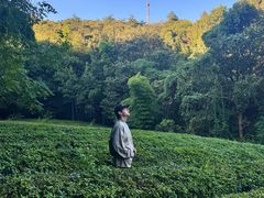 -敬亭山风景名胜区