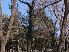 -沈阳市东陵公园