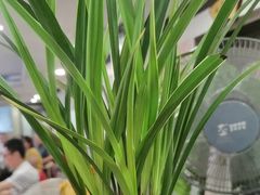 -佛有缘素食馆·荔湾老字号(陈家祠首店)