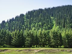 -新疆那拉提国家旅游度假区