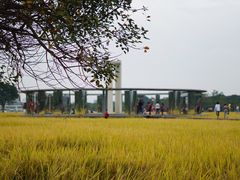 -艾米稻香小镇