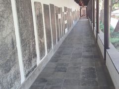 -苏州文庙(姑苏区)