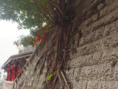 -重庆十八梯传统风貌区