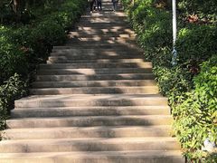 -深圳龙潭公园