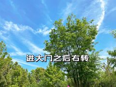 -盘龙城国家考古遗址公园