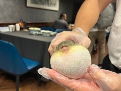 -肆月河豚·新淮扬(金融街店)