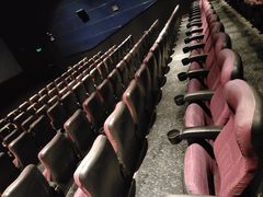 -SFC上影百联影城(川沙IMAX店)