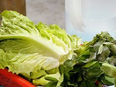 -章记正宗南岗鱼蛋火锅