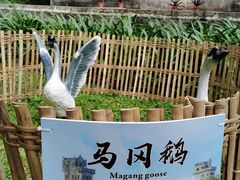 -开平碉楼文化旅游区马降龙景区