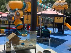 -上海崇明金茂凯悦酒店