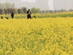 -汉长安城未央宫国家考古遗址公园