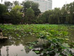 -莲湖公园