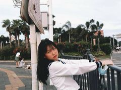 -海堤纪念公园