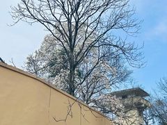 -灵顺寺