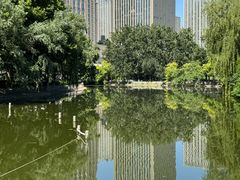 -裕华世纪公园