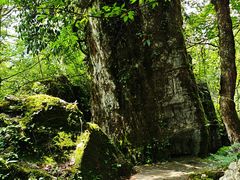 -山王坪喀斯特国家生态公园