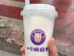-一只酸奶牛(八一路店)