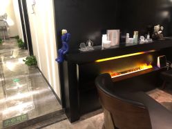 点击看大图 -玛莲朵·海菲秀冰珀科