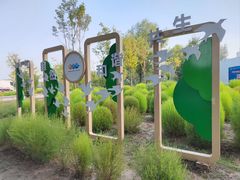 -野鸭湖国家湿地公园