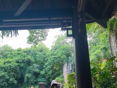 -峨眉山报国寺