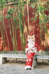 点击看大图 -美云庭古装·格格服汉服·京城旅拍(北京店)