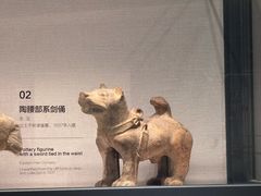 -四川大学博物馆
