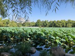 -长春市南湖公园