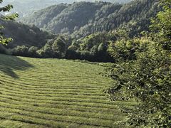 -敬亭山风景名胜区